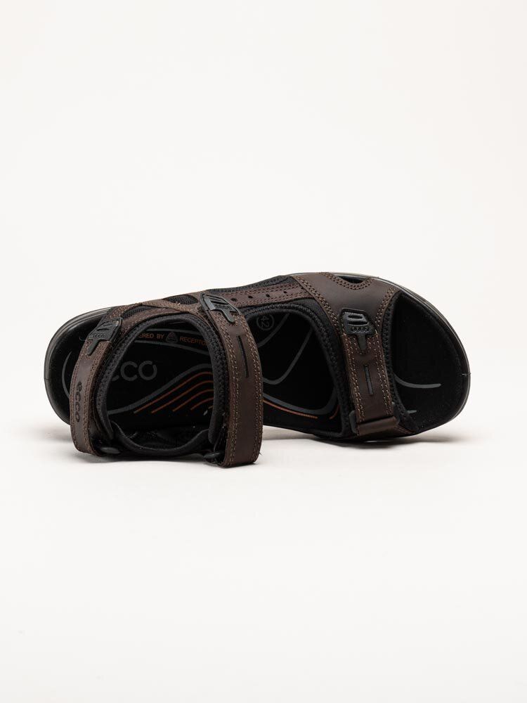 Ecco - Offroad Yucatan M - Mörkbruna sportiga sandaler